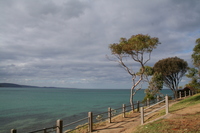 An der Great Ocean Road